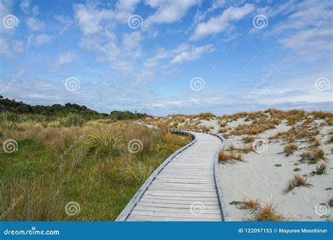Walkway Along The Sand Beach And Grass Stock Image Image Of Nature