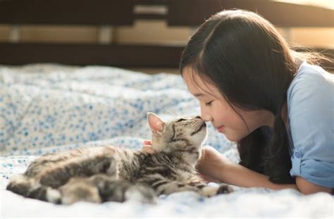 Top 10 Ways To Show Your Cats You Love Them