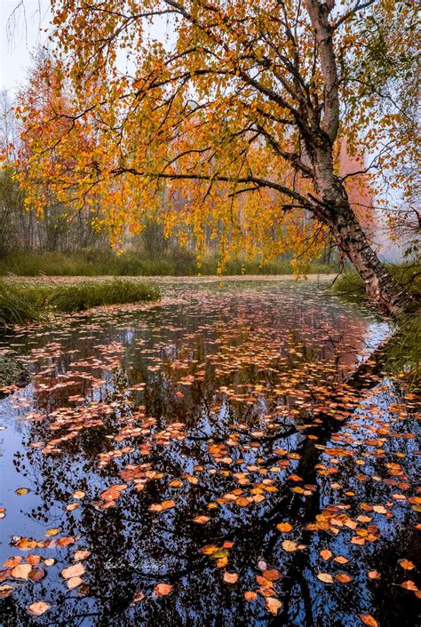 Autumn Finland By Asko Kuittinen Tf Stunning Photography Autumn