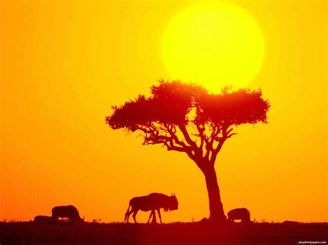 76 African Wallpaper