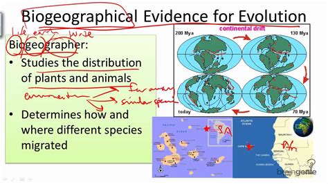 1126 Biogeographical Evidence For Evolution Youtube