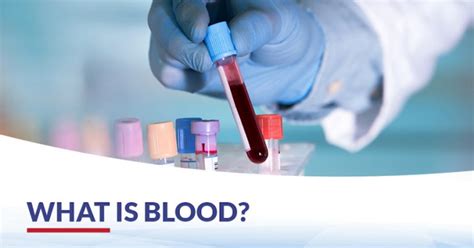 What Is Blood Blood Basics Cfch Centre For Clinical Haematology