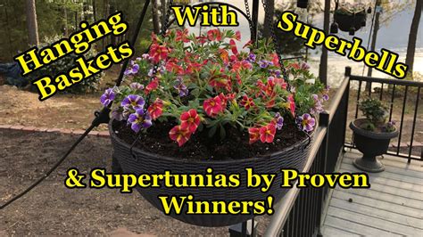 Making Hanging Baskets With Proven Winners Supertunia Vistas