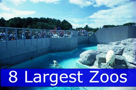 Biggest Zoo In The World Map