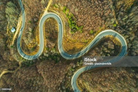 Winding Mountain Road In Wooded Area With Trees Ecological Way Stock