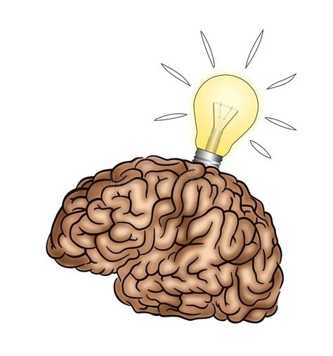 Creative Brain With Light Bulb Illustration Stock Illustration