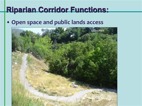 Riparian habitat definition from encyclopedia dictionaries & glossaries. PPT - SALT LAKE CITY DEPARTMENT OF PUBLIC UTILITIES Red ...