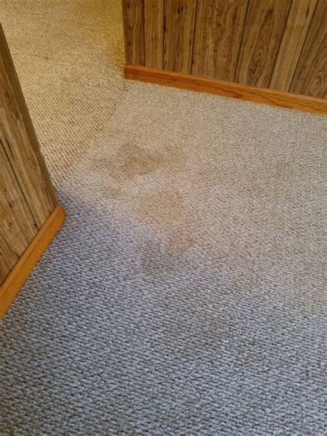Before And After Classic Carpet Cleaning
