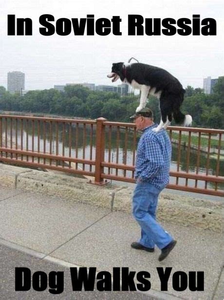 In Soviet Russia Dog Walks You