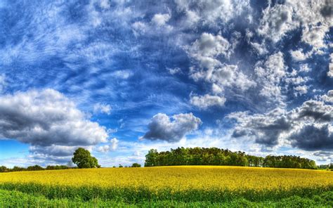 Clouds Landscapes Grass Fields Hdr Photography Wallpaper 1920x1200