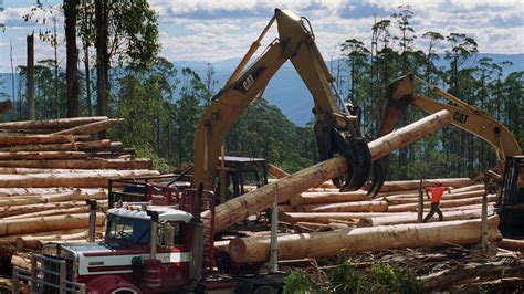 Bob Browns Claims On Glasgow Declaration Ending Native Forest Logging