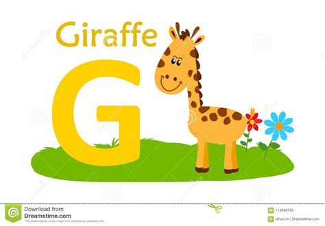 Carta Animal Del Alfabeto G G Para La Jirafa Ilustración Del Vector