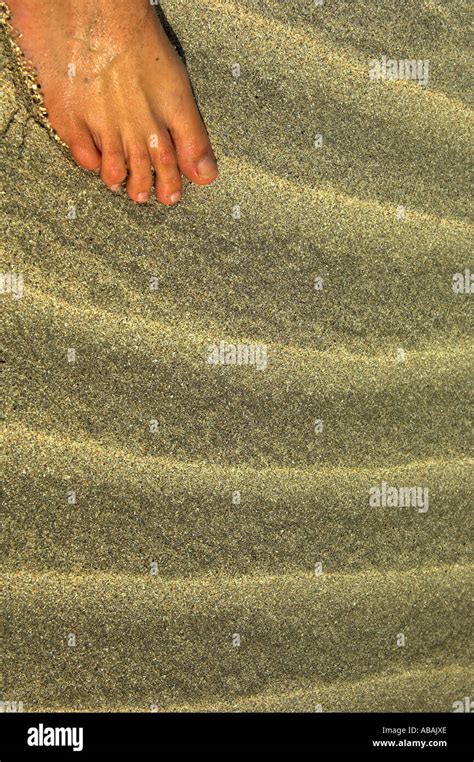 Womans Toes On Sand Beach With Ripples In The Sand Red Sea Egypt Stock