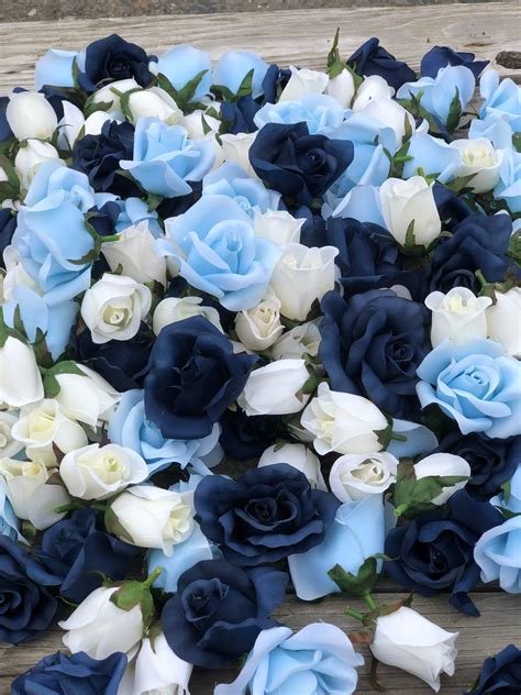 Baby Blue Roses For Sale Patience Burrows