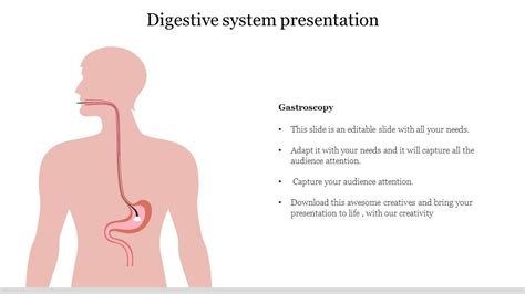 Digestive System Presentation Powerpoint Templates Presentation