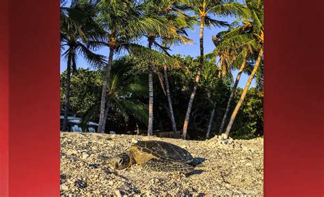 Product derived from idv10753 and idv17102. May 06, 2018 Weather Forecast | Big Island Now