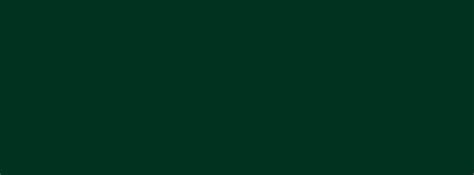 851x315 Dark Green Solid Color Background