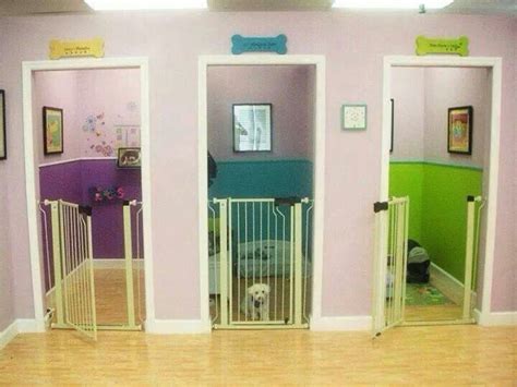 12 Pet Pampering Procedures Animal Room Home Creche Para Cães