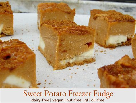 Sweet Potato Freezer Fudge No Dairy No Butter No White Sugar Vegan