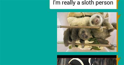Sloth Love Chunk Imgur