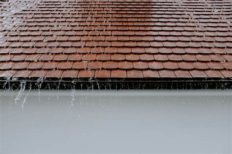 What Type Of Damage Can A Leaking Roof Cause