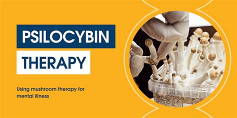 Understanding Psilocybin Therapy And Mushroom Therapy