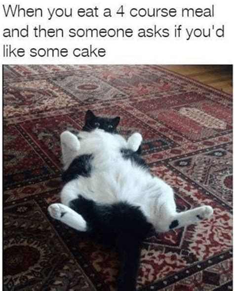 28 Catnip Filled Memes To Satisfy Your Caturday Obsession Funny Cat