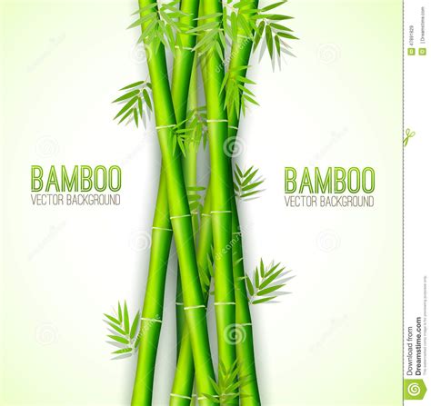 Bamboo Background Concept Vector Illustration Stock Vector Image
