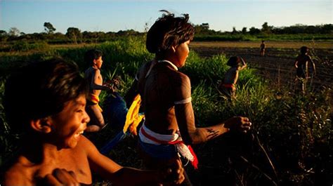 Kamayura Tribe Xingu River World Images Culture The New York Times