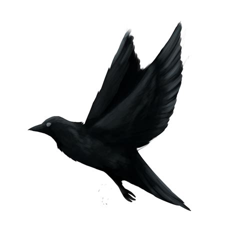 Painted Raven — Weasyl