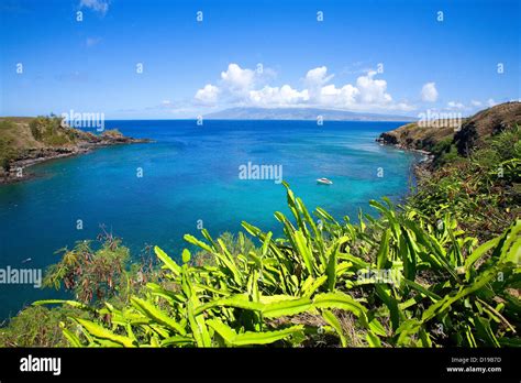 Hawaii Maui Honolua Bay Green Brush Overlooking Bright Blue Water