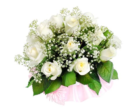 Wallpaper Bouquets Roses White Flower White Background