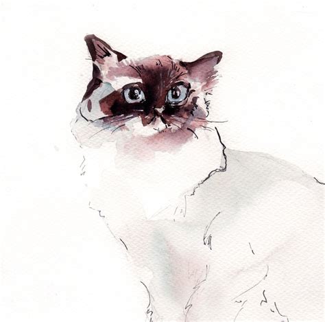 Rag Doll Cat Original Watercolor Painting Cat Minimalist Etsy