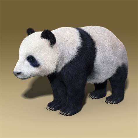 Max Panda Bear Fur