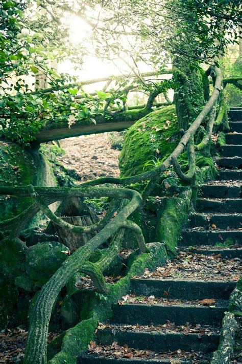 See more ideas about nature aesthetic, secret garden, scenery. Pin by Bellâ Sky ༊ 𝓇𝑜𝓂𝒶𝓃𝓉𝒾𝒸 𝒷𝑒𝒶𝓊𝓉𝓎༊ on Secret Garden༊ of ...