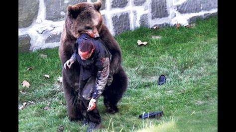 Pictures Of Bear Attacks On Humans Peepsburghcom