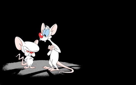 Wallpaper Pinky And The Brain Images MyWeb