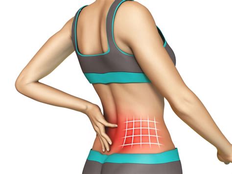 Learn how to draw the lower back muscles by learning their form. Muscle Spasms are a Leading Cause of Back Pain