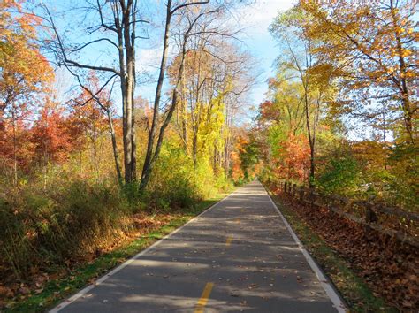 Free Images Tree Nature Forest Road Trail Sunlight Morning