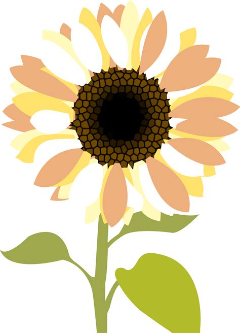 Free Sunflower Clipart Pictures Clipartix