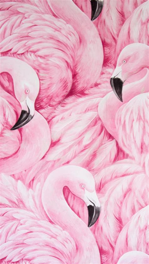 Pink Flamingos Backiee