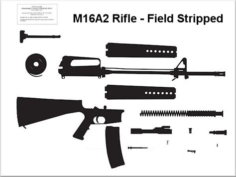 M16a2 Rifle Parts Field Stripped Diagram Quizlet