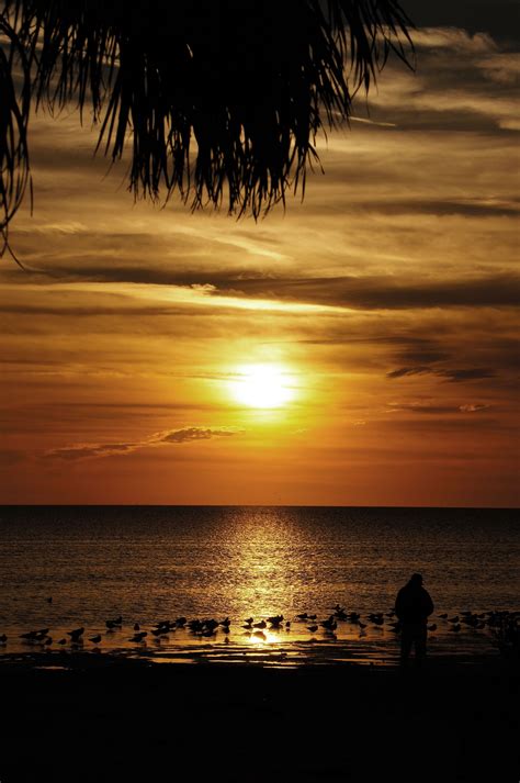 Sunset shoot in New Port Richey, Florida. | New port richey florida