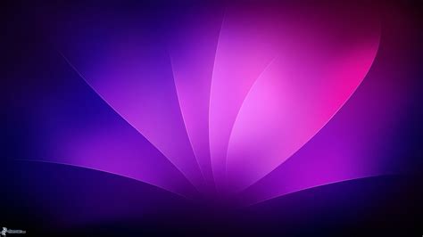 Free Download Purple Background 2560x1440 For Your Desktop Mobile
