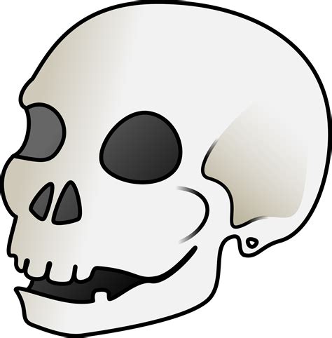 Clipart Skull