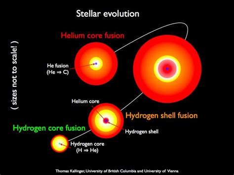 Evolution Of A Red Giant Star Giant Star Evolution Science Nature