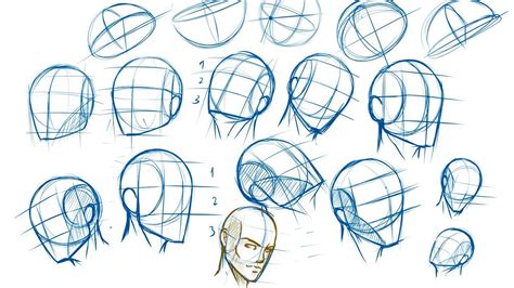 Head Structure Drawing At Explore