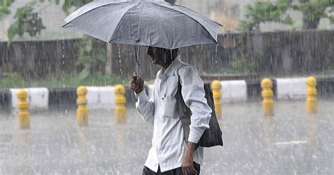 The season of the year in tropical countries when there is a lot…. Monsoon Rains in Uttar Pradesh: Lucknow, Prayagraj ...