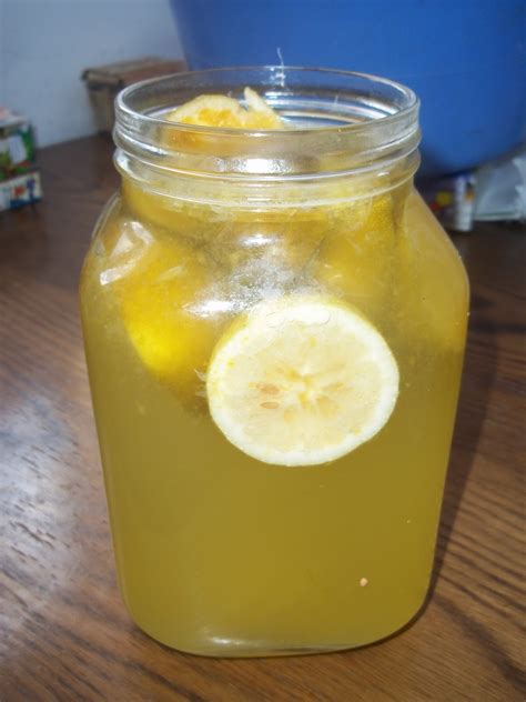 How To Make Homemade Fermented Soda With A Ginger Bug Penniless Parenting