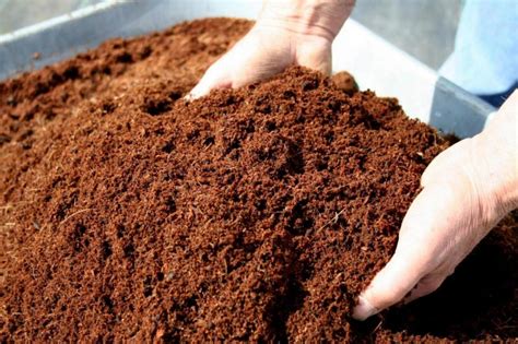 Retains water, improves aeration, not drainage, when used without amendments will need to be buffered or it will steal the magnesium and calcium from your plants. Investment Opportunity: Vermicompost Production ...
